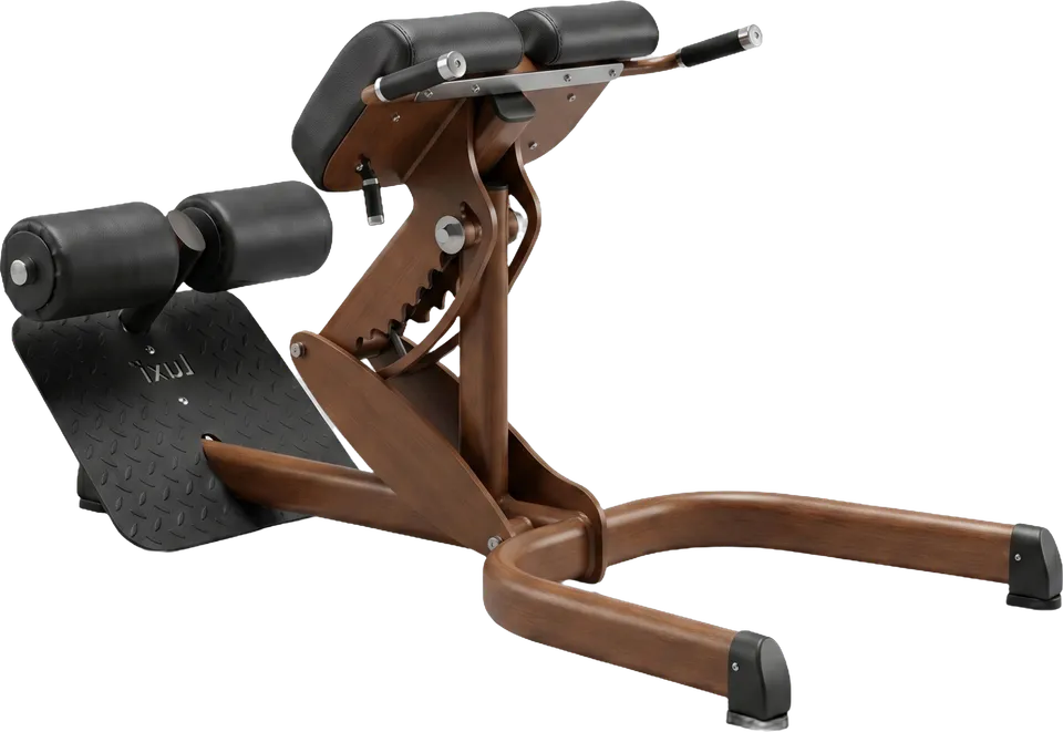 Back extension bench